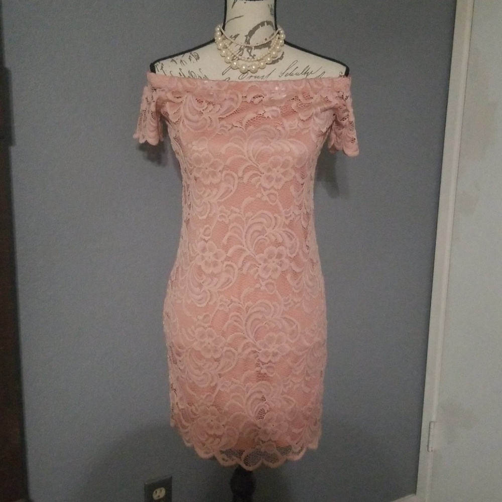 Beautiful Rose Pink Lace Dress NWOT - Picture 1 of 8